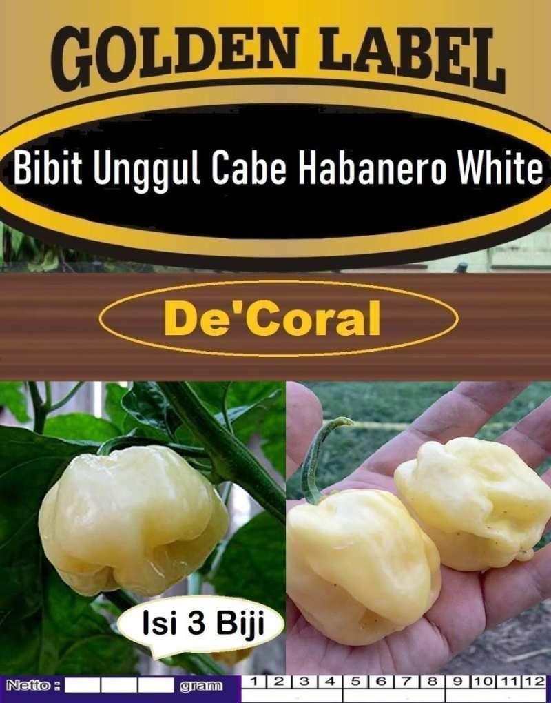 Agen Habanero XL Terbaik di Indonesia