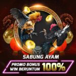 Situs Hoki Ovo Terbaik untuk Keberuntungan Anda!