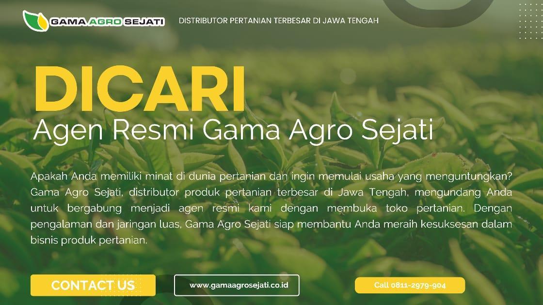 Agen Resmi Terpercaya untuk Berbagai Kebutuhan Anda