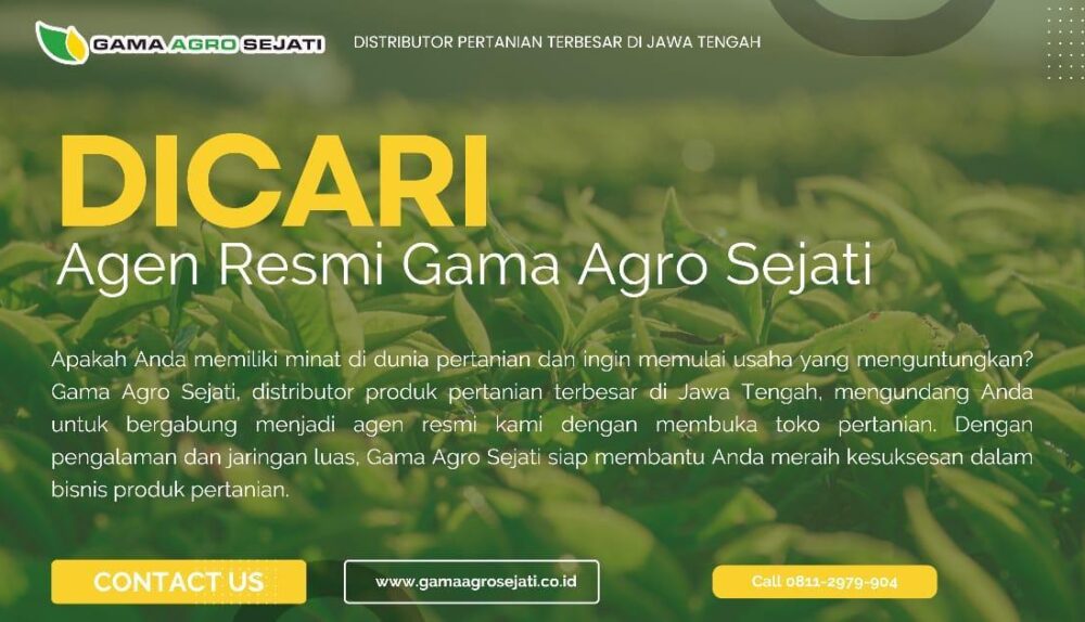 Agen Resmi Terpercaya untuk Berbagai Kebutuhan Anda